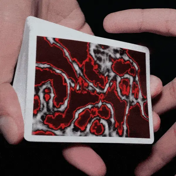 Fractal Acid/Carmine Playing Cards by Missing - Image 5